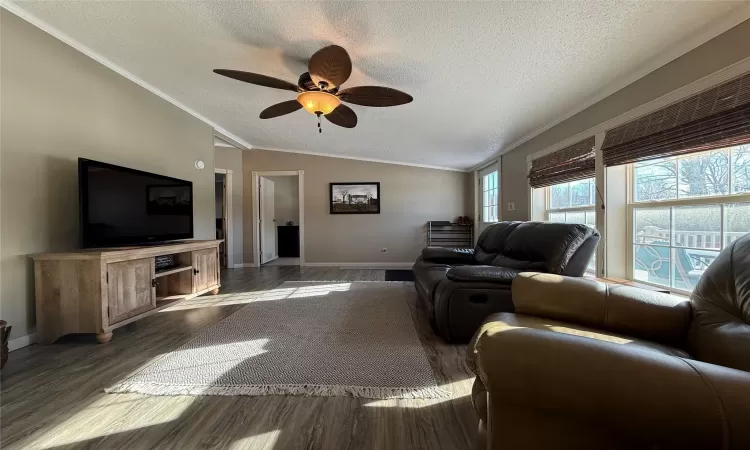 Living room featuring crown molding, vaulted ceiling, ceiling fan, a textured ceiling, and dark hardwood / wood-style flooring