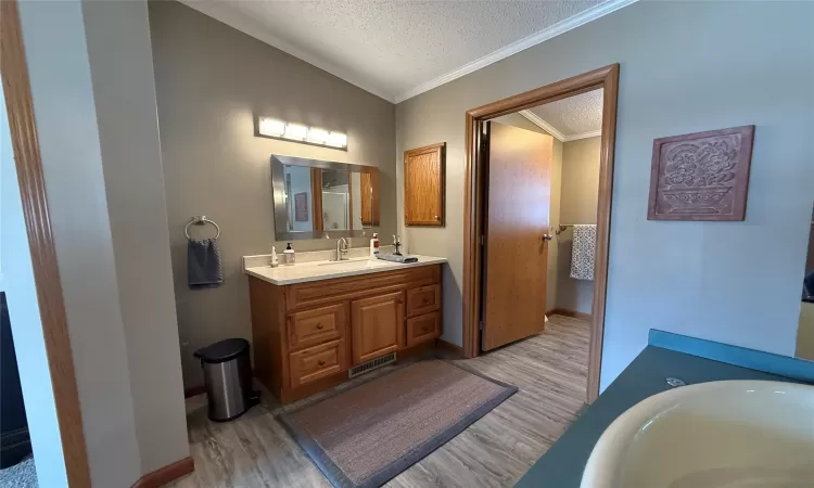 Bathroom featuring vanity, a textured ceiling, vaulted ceiling, crown molding, and wood-type flooring