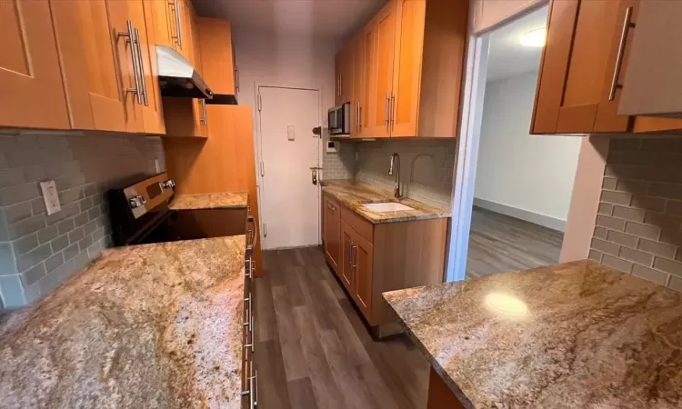 Kitchen featuring backsplash, dark wood-type flooring, range with electric cooktop, sink, and light stone countertops