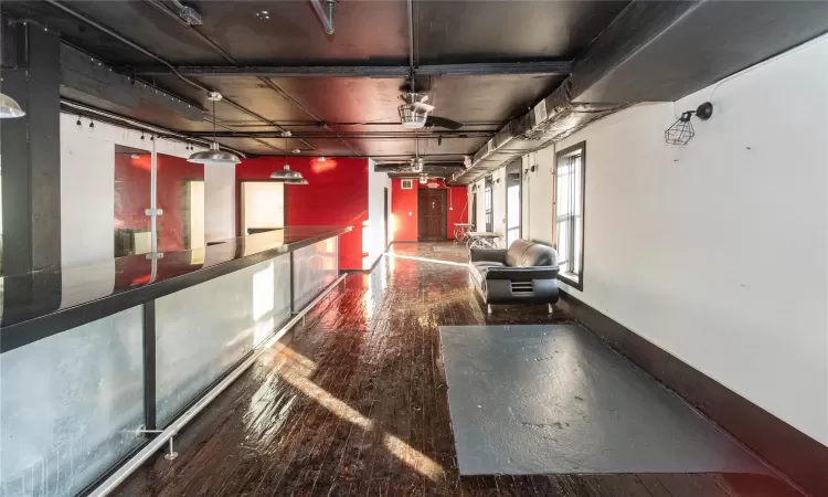 Basement featuring dark hardwood / wood-style floors