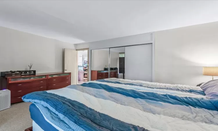 Carpeted bedroom featuring a closet