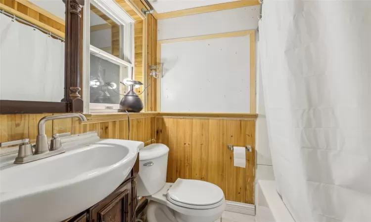 Bathroom featuring vanity, toilet, and wood walls