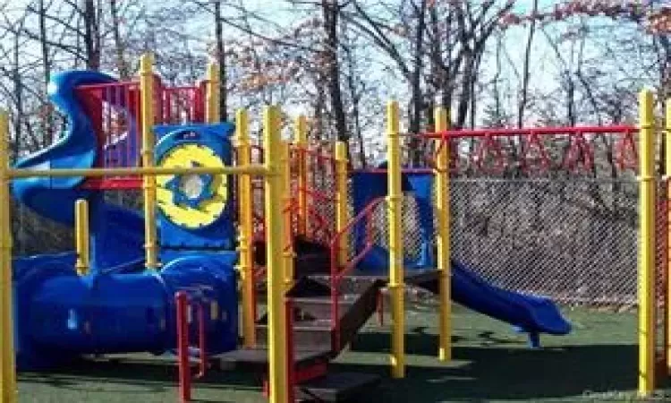 View of jungle gym