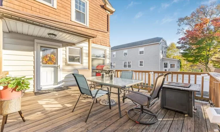 Wooden deck with grilling area