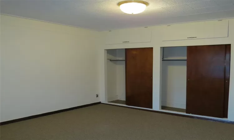 Unfurnished bedroom featuring carpet flooring and a closet