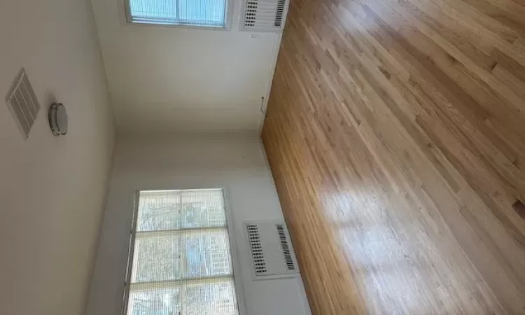 Unfurnished room featuring a healthy amount of sunlight, radiator, and light hardwood / wood-style flooring