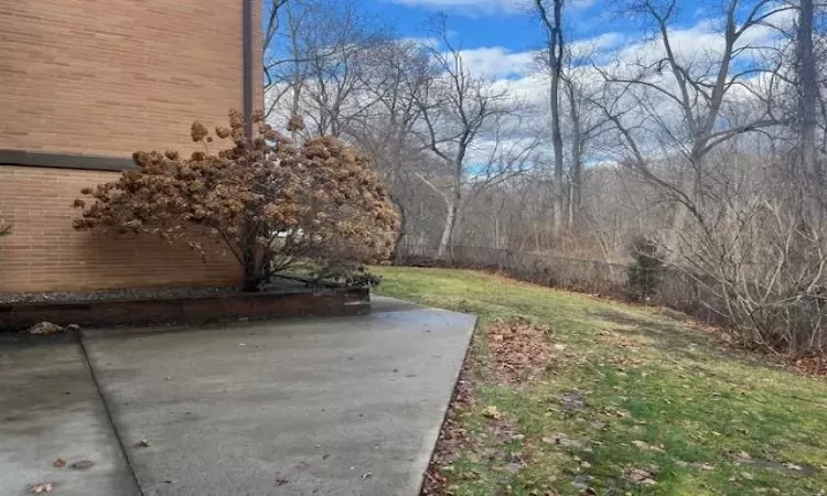 View of yard featuring a patio area