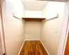 Walk in closet with wood-type flooring