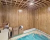 Basement with wooden walls