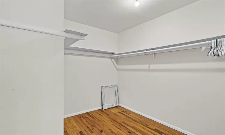 Spacious closet with wood-type flooring