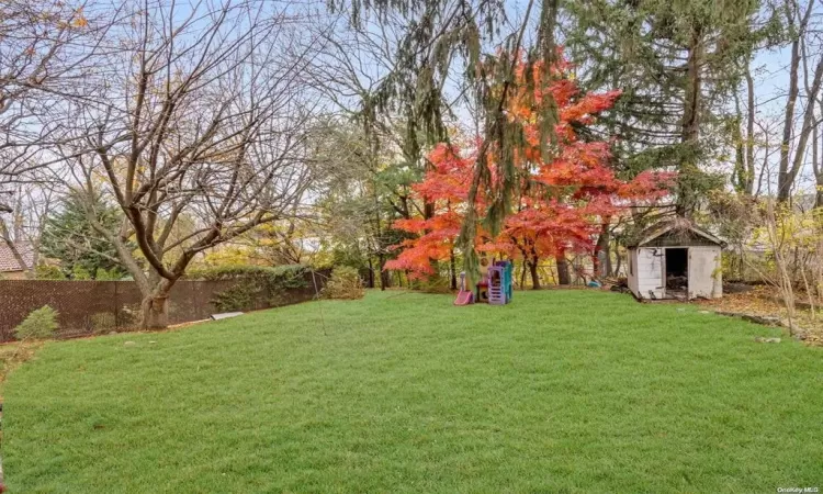 View of yard featuring a shed