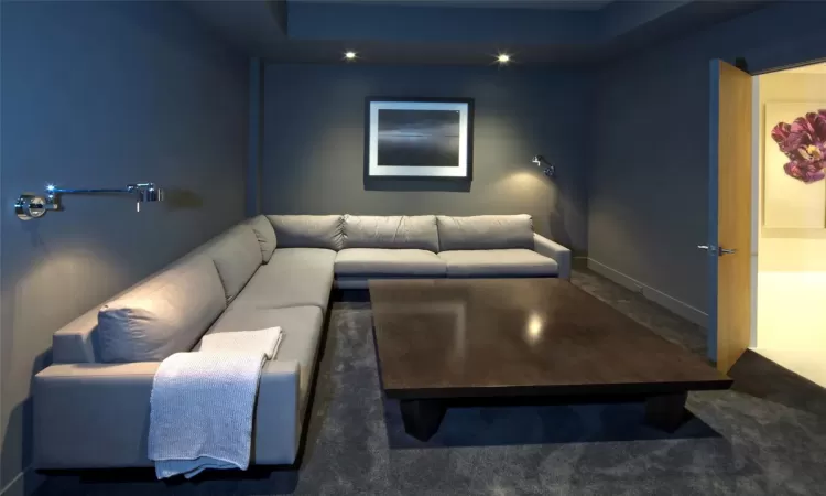 Cinema room featuring dark colored carpet