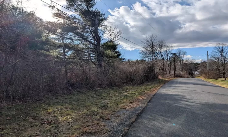 View of street - Riders Mills Road