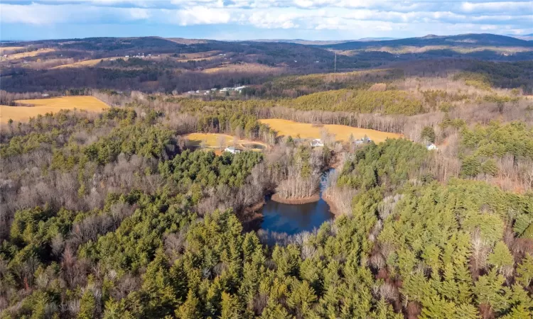 Bird's eye view featuring a water and mountain view