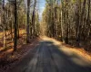 View of road - Dorland Road