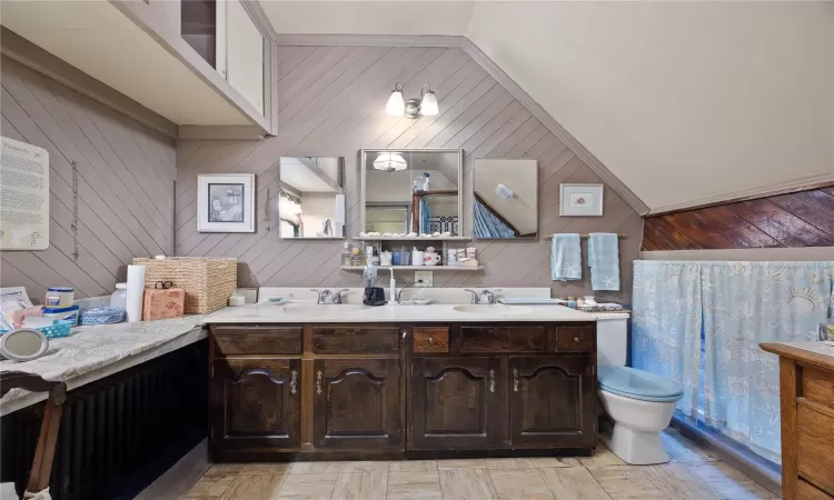 Bathroom featuring vanity, toilet, wooden walls, and vaulted ceiling