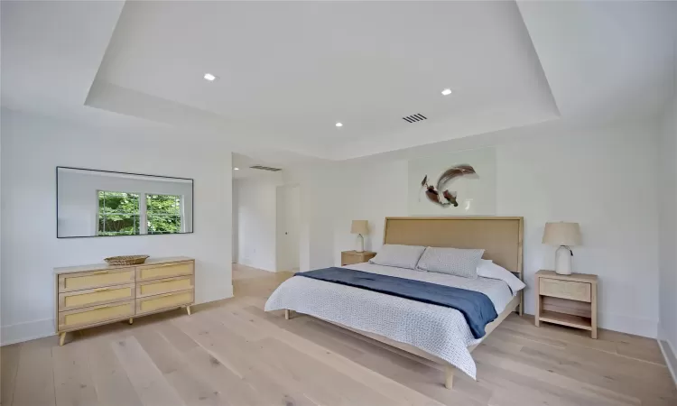 Bedroom with a tray ceiling and light hardwood / wood-style floors