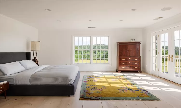 Bedroom featuring crown molding, access to exterior, multiple windows, and french doors