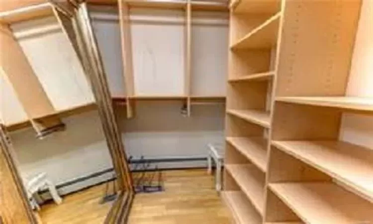 Walk in closet featuring light hardwood / wood-style flooring