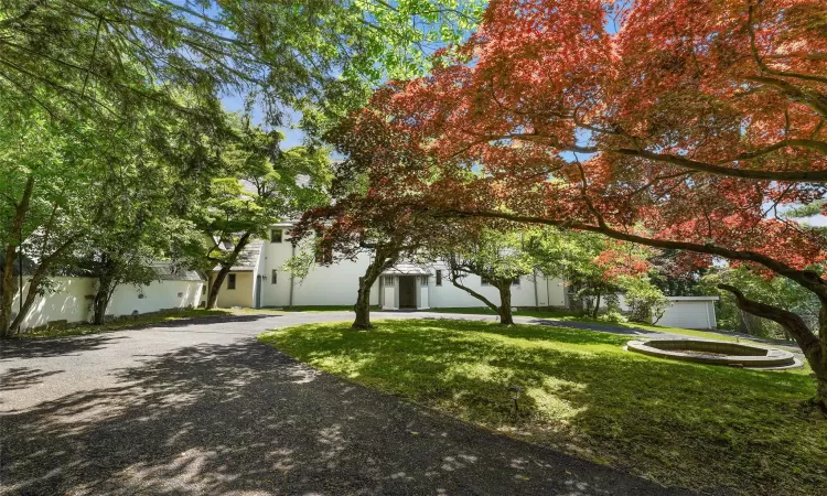 View of property hidden behind natural elements featuring a front yard