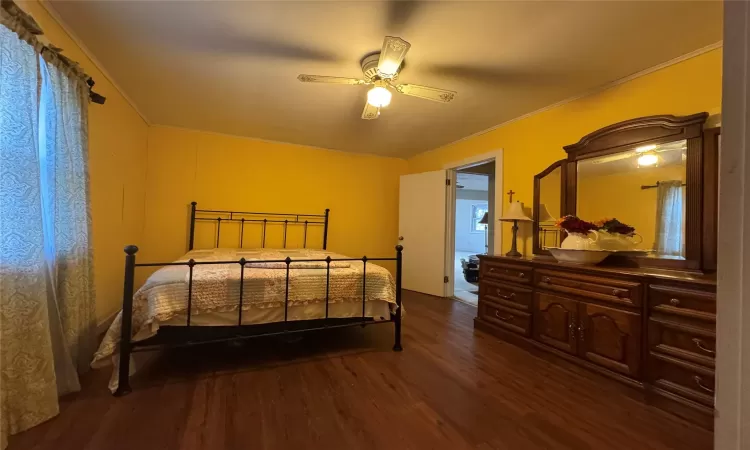 Bedroom with ceiling fan, dark hardwood / wood-style floors, and crown molding