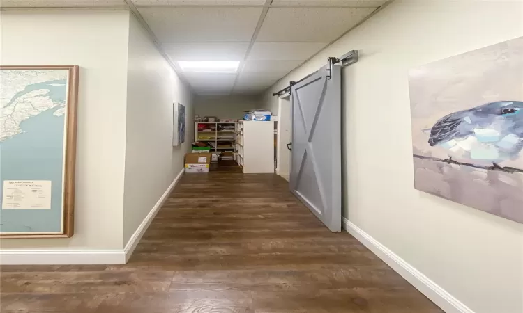 Hallway featuring a drop ceiling, a barn door, and dark hardwood / wood-style flooring