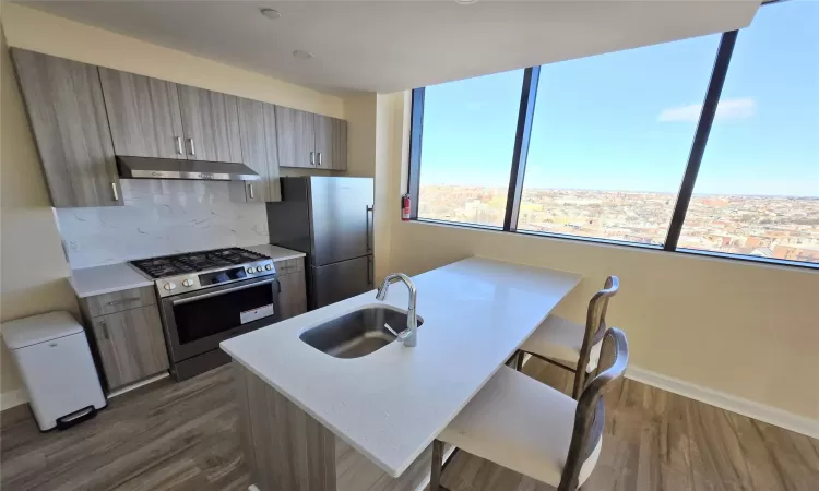 Kitchen featuring sink, dark wood-type flooring, ventilation hood, decorative backsplash, and appliances with stainless steel finishes