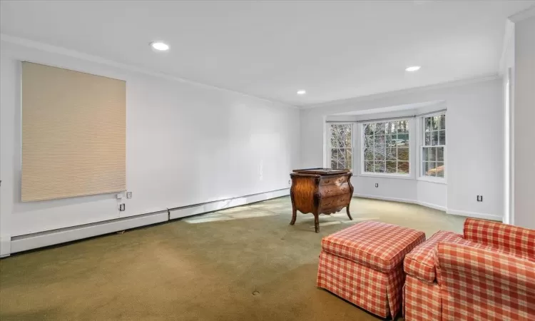 Sitting room featuring carpet flooring, ornamental molding, and a baseboard heating unit