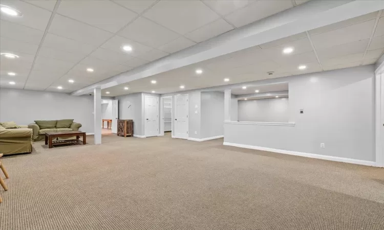 Basement featuring carpet and a drop ceiling