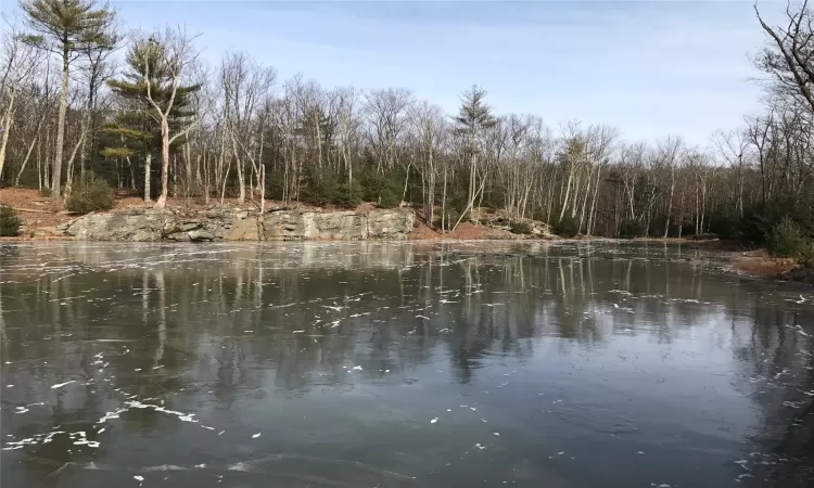 View of water feature