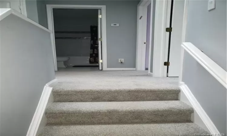 Stairway with carpet floors