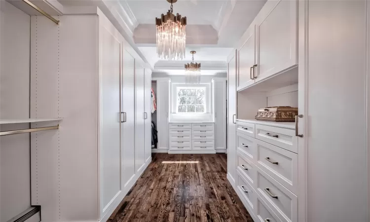 Designer Walk-in Closet