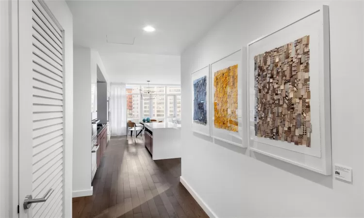 Corridor featuring floor to ceiling windows and dark hardwood / wood-style floors