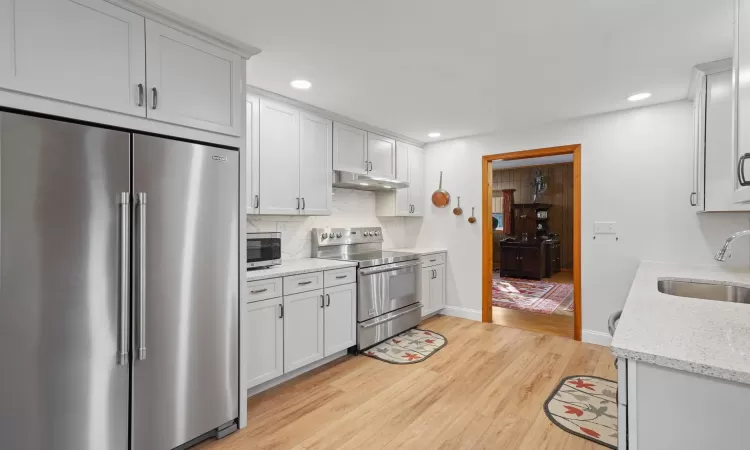 Kitchen featuring sink, light hardwood / wood-style floors, light stone counters, white cabinetry, and stainless steel appliances