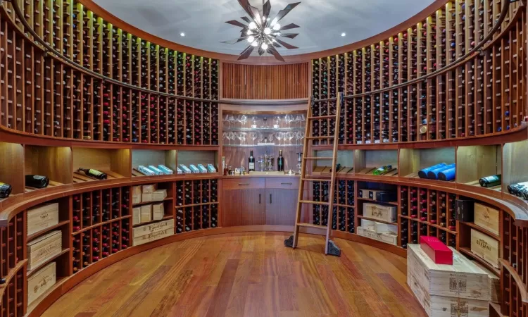 Wine room with wood-type flooring