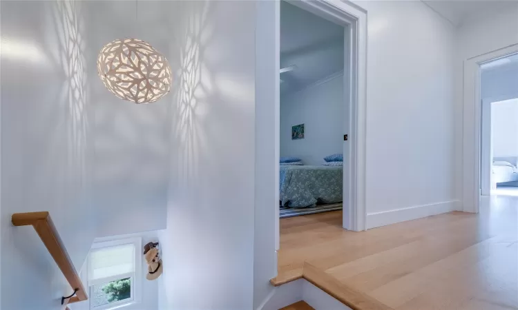 Hall featuring hardwood / wood-style flooring and ornamental molding