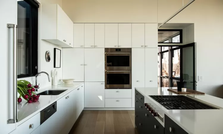 Kitchen with white cabinets, dark hardwood / wood-style flooring, sink, and appliances with stainless steel finishes