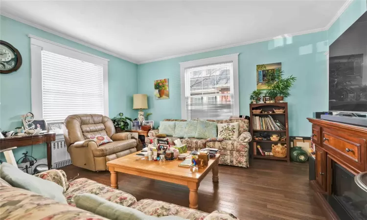 Living room with dark hardwood / wood-style flooring, radiator heating unit, and ornamental molding