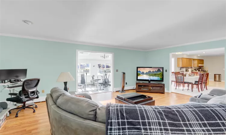 Living room featuring crown molding and light hardwood / wood-style flooring