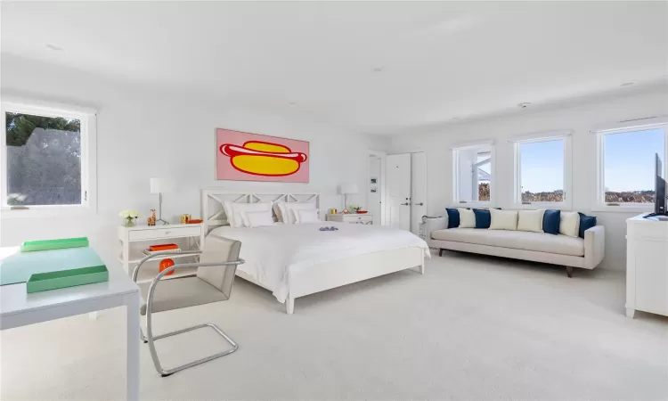 Bedroom featuring light colored carpet and multiple windows