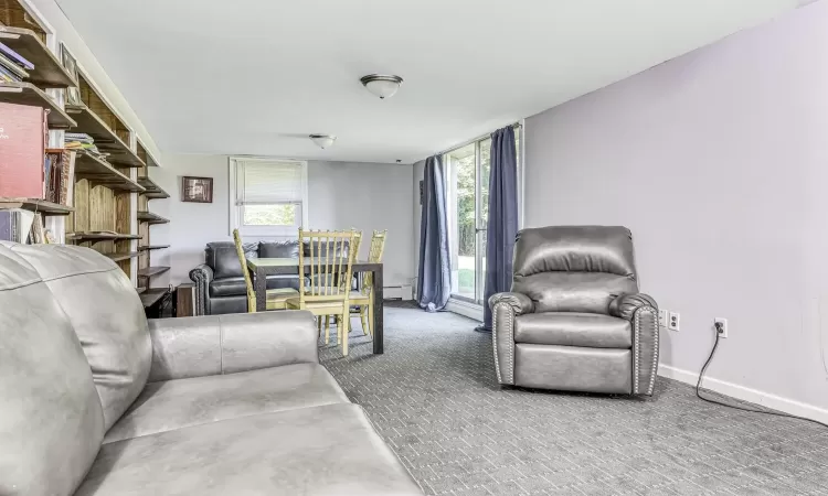 Living room featuring carpet, baseboard heating, and a healthy amount of sunlight