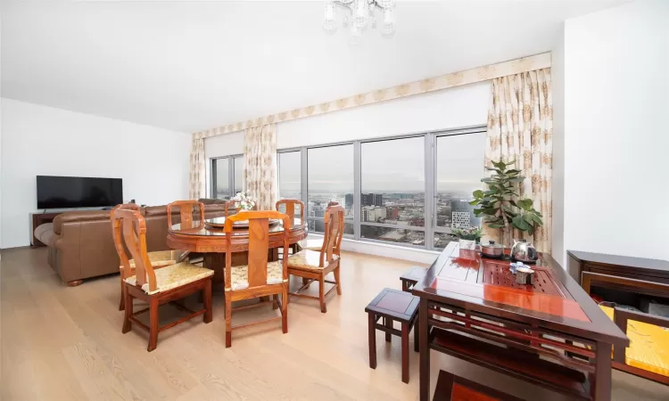 Dining area with light hardwood / wood-style floors