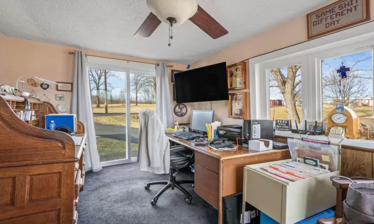 Carpeted office with ceiling fan and a textured ceiling