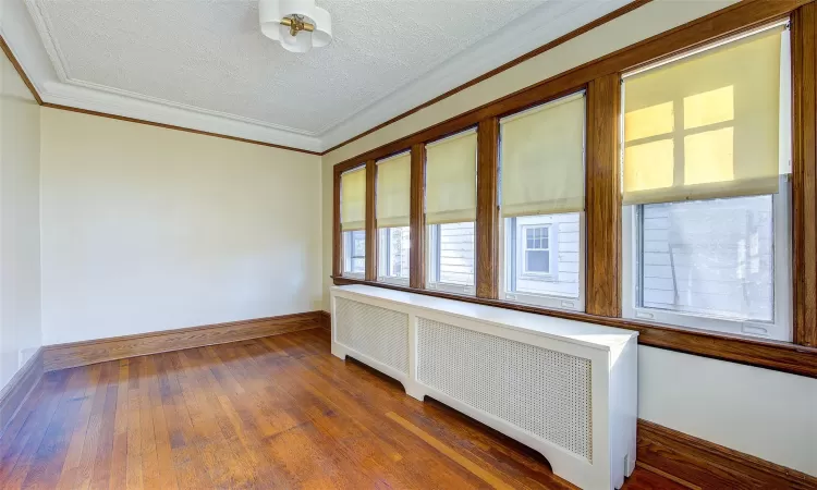 Unfurnished room featuring crown molding, dark hardwood / wood-style flooring, radiator heating unit, and a textured ceiling