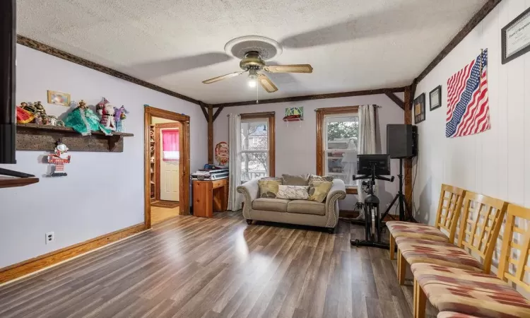 Living room featuring a textured ceiling, ceiling fan, ornamental molding, and dark hardwood / wood-style floors