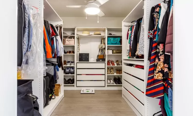 Spacious closet with ceiling fan and light hardwood / wood-style flooring