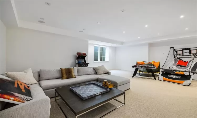 Lower Level Family room with tray ceiling