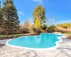 View of pool with a patio area