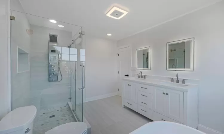 Bathroom featuring walk in shower, vanity, and toilet