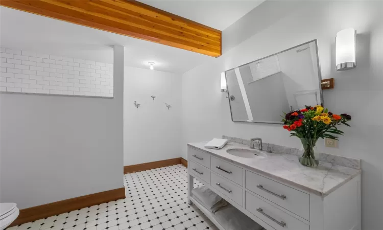 Lower level bathroom